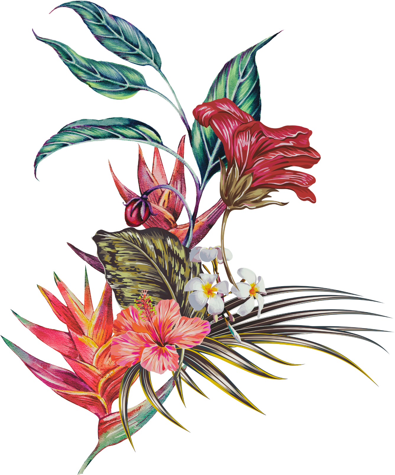 bloom image